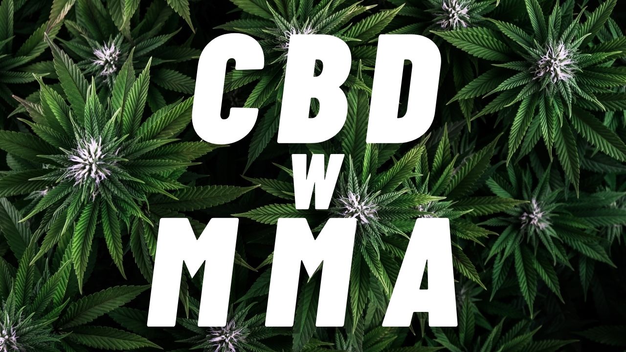 Zasotosowanie CBD w sportach walki. Dlaczego zawodnicy MMA palą zioło?