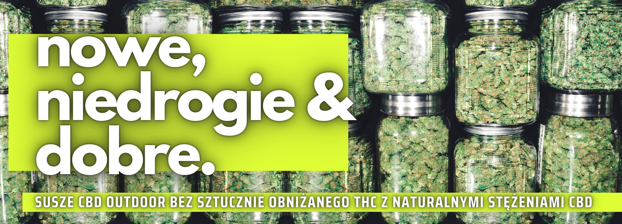 Niedrogie susze CBD
