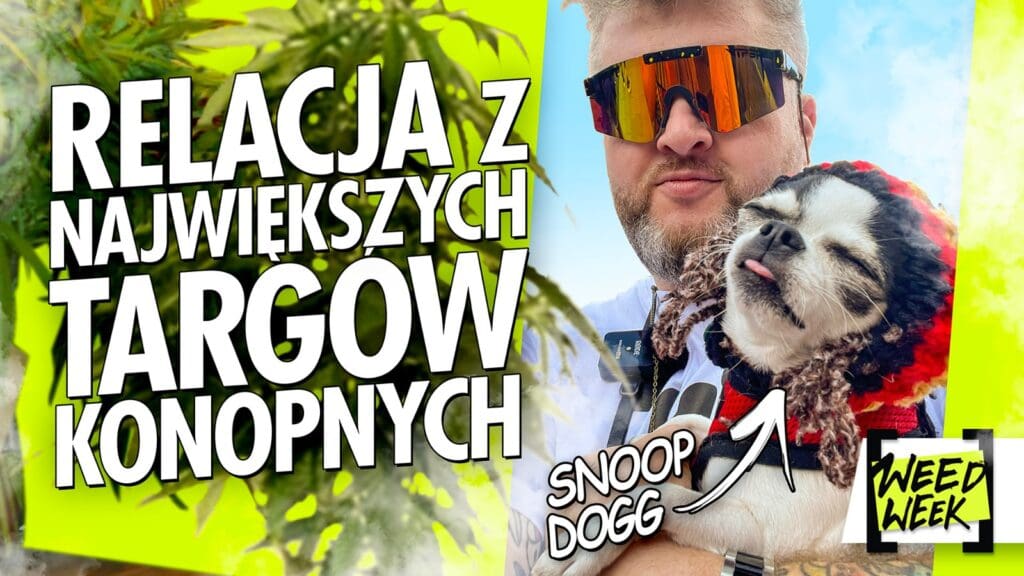 Konopne podsumowanie roku