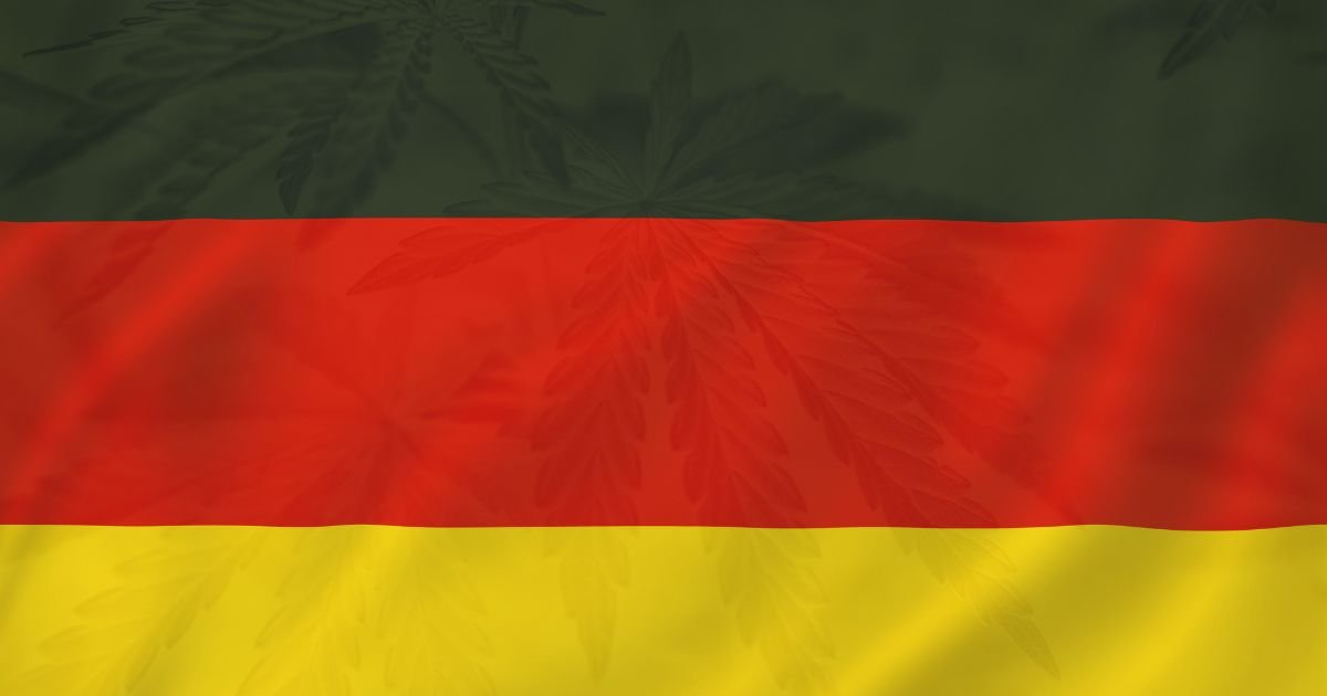 projekt legalizacji marihuany