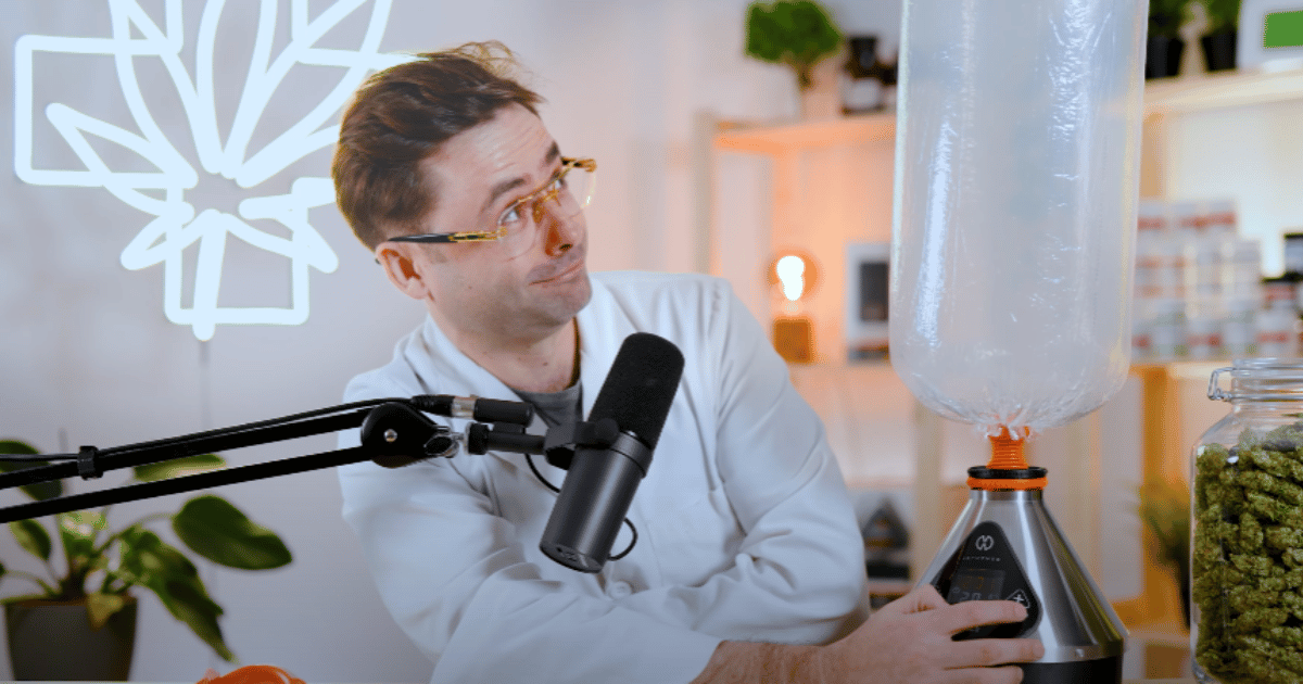 najlepszy wporyzator