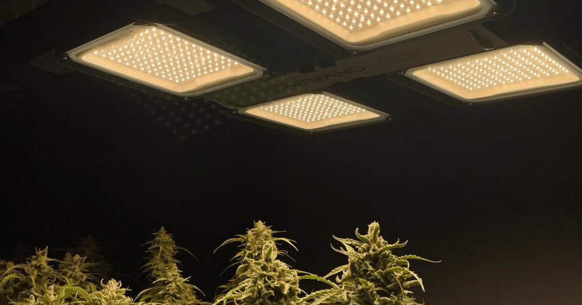 Lampa Horti 2SQ