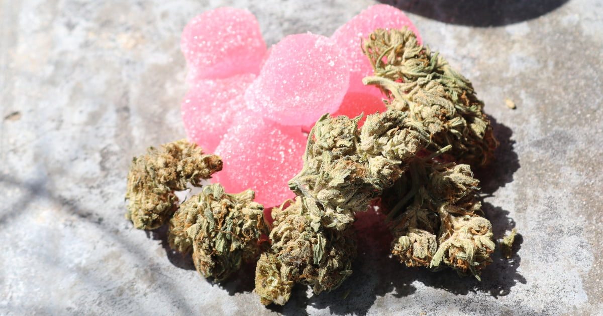 Edibles to produkty spożywcze, które zawierają ekstrakt lub olej z konopi indyjskich, bogate w kannabinoidy, takie jak THC (tetrahydrokannabinol) czy CBD (kannabidiol).