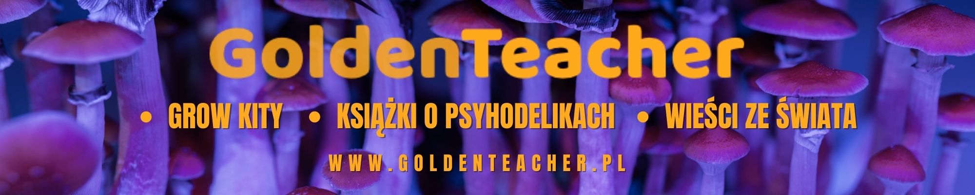 sklep goldenteacher.pl