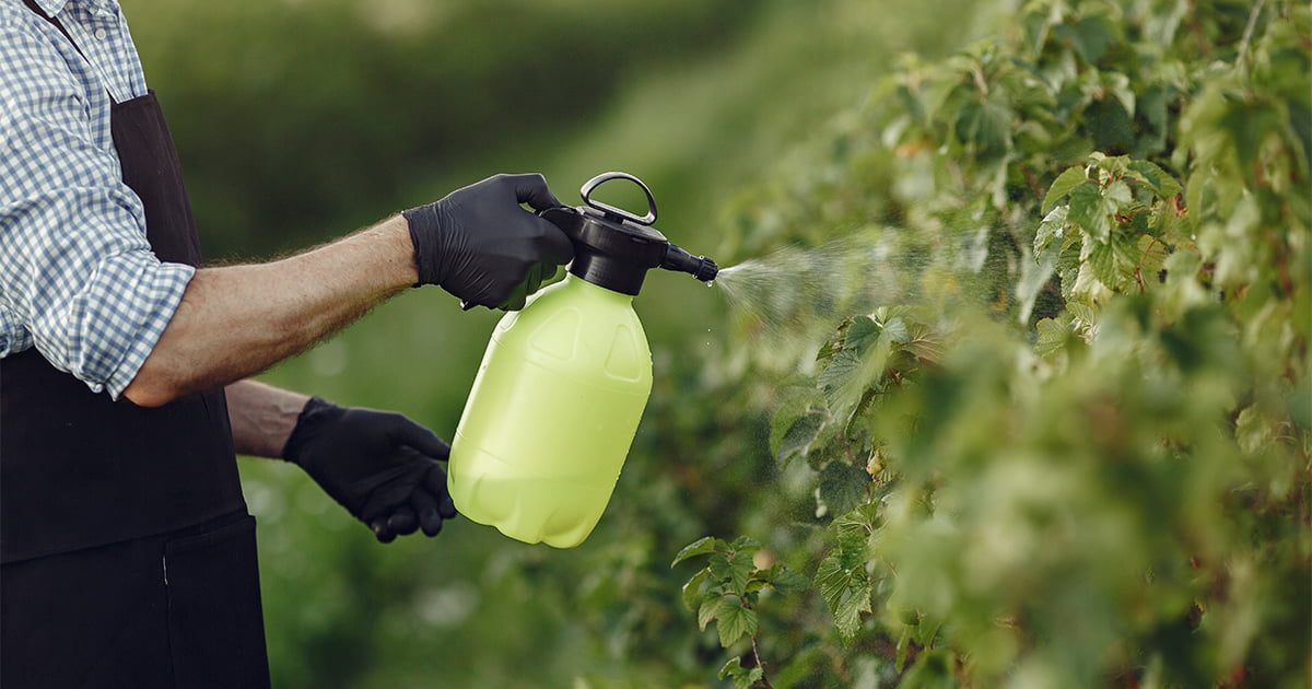 Hodowla organiczna odnosi się do praktyk rolniczych i hodowlanych, które wykluczają stosowanie sztucznych chemicznych nawozów, pestycydów, antybiotyków i hormonów wzrostu.