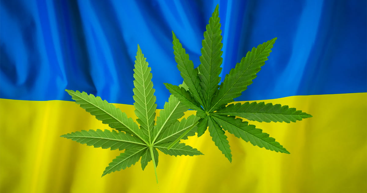 Ukraina wprowadza legalizację medycznego stosowania marihuany.