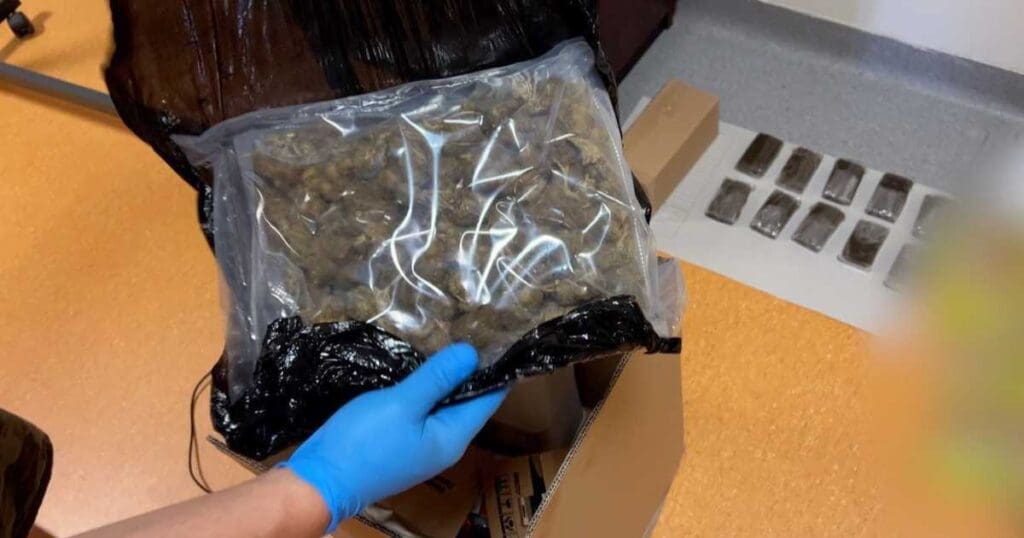 marihuana i haszysz
