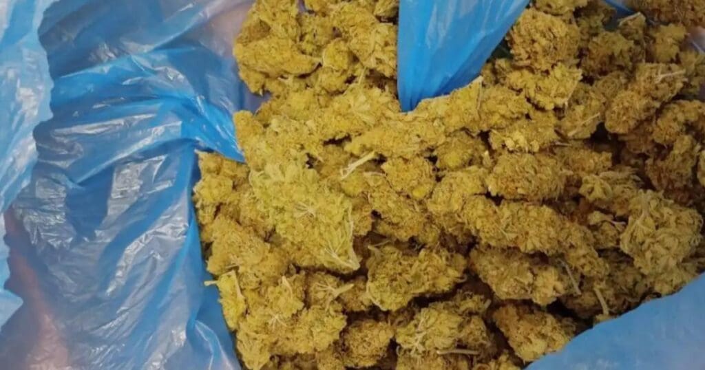 marihuana, którą posiadał 18-latek