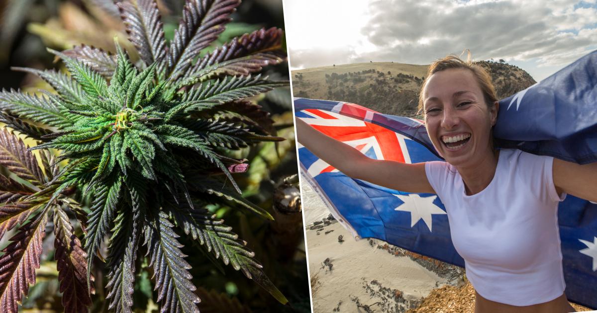 kobieta z flagą australii i marihuana