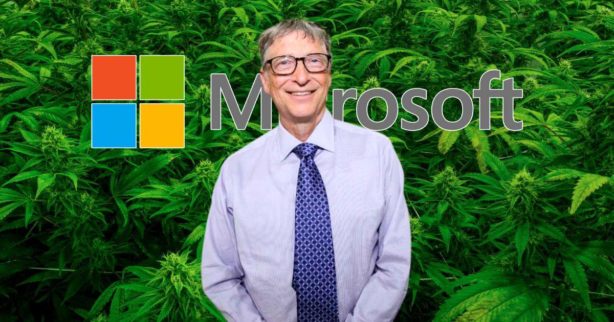 bill gates - założyciel microsoft