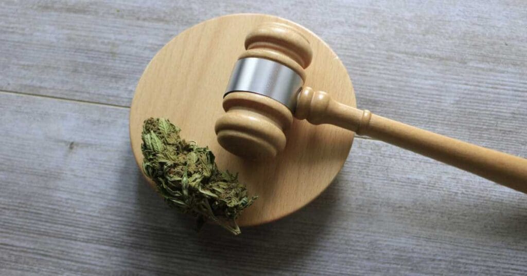 marihuana w sądzie