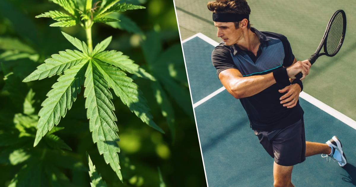 tenisista us open i marihuana