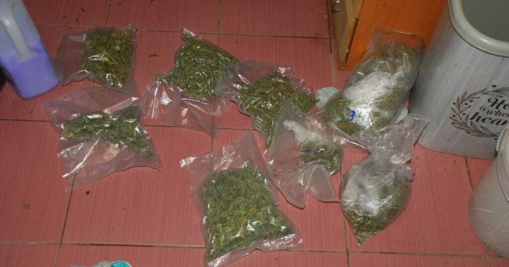 zabezpieczona marihuana