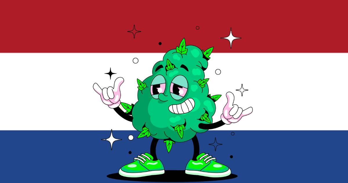 Holandia zalegalizuje marihuanę