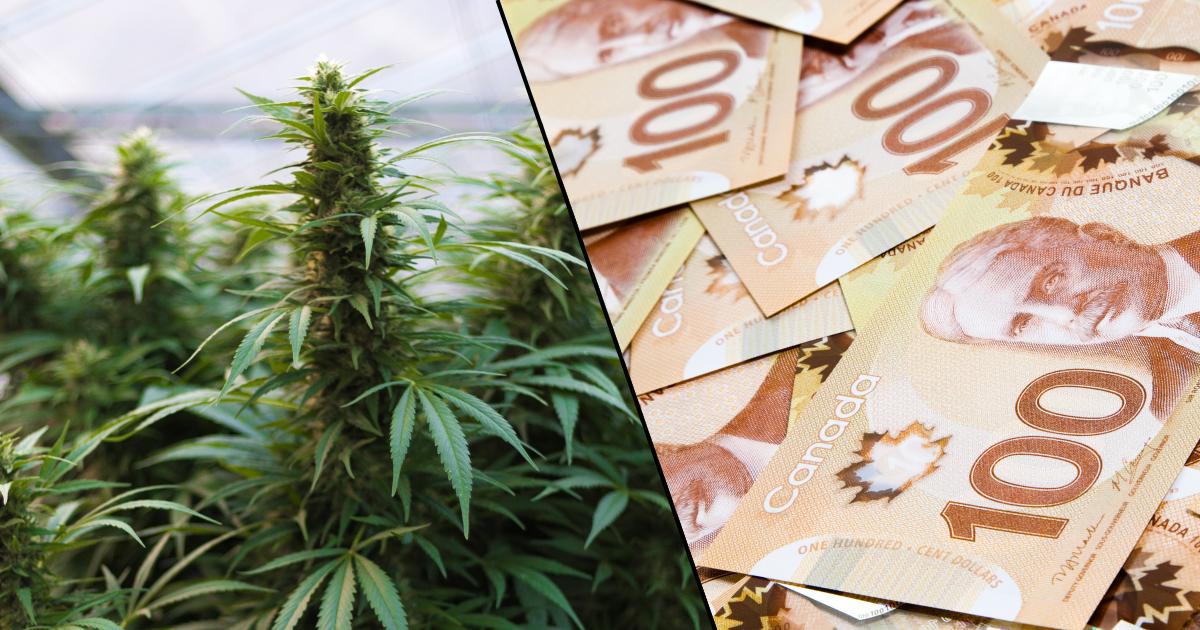 dolary kanadyjskie i marihuana