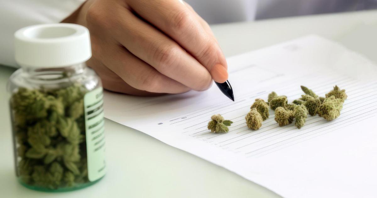 medyczna marihuana przepisywana przez lekarza
