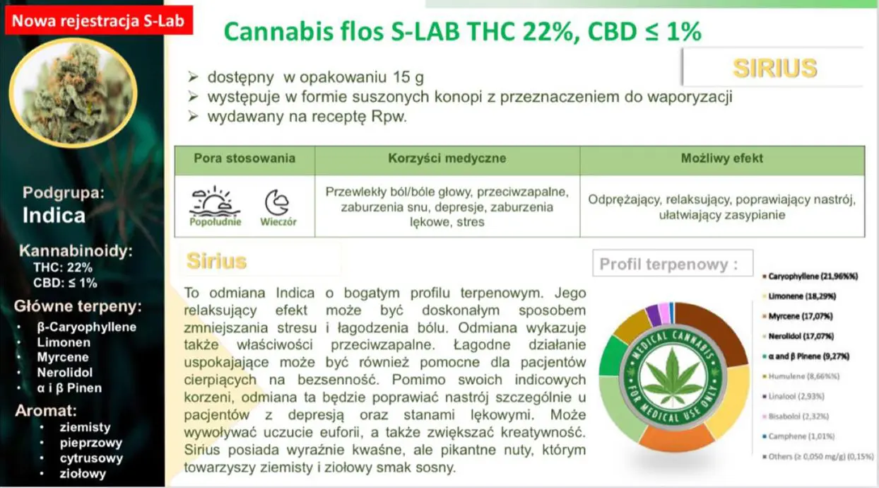 charakterystyka nowej odmiany medycznej marihuany Sirious