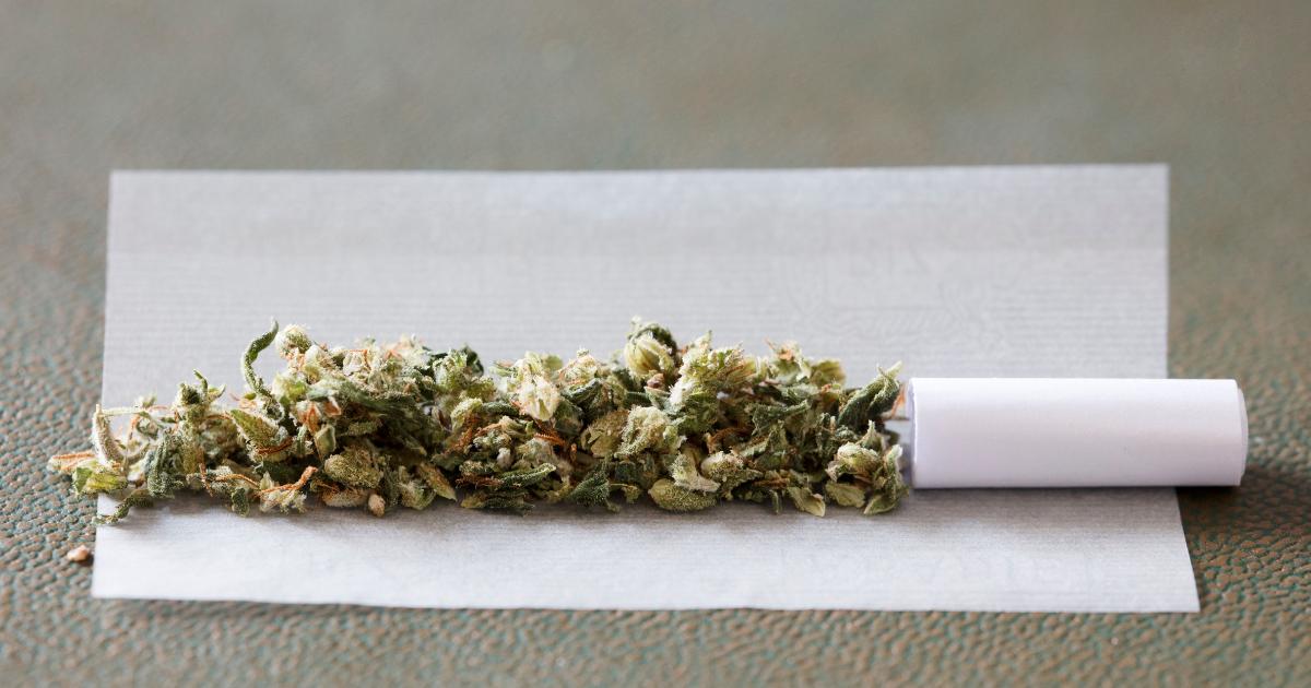 joint w bletce