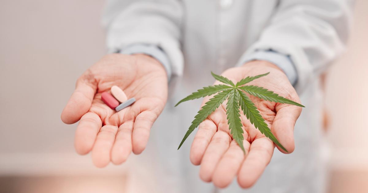 zastąpić opioidy olejkiem CBD