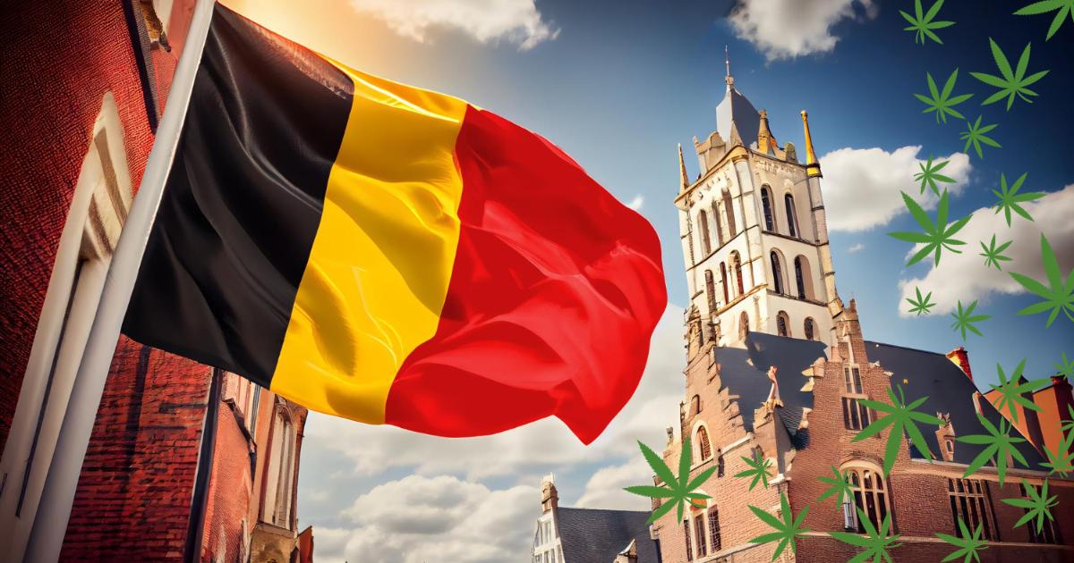 flaga belgii