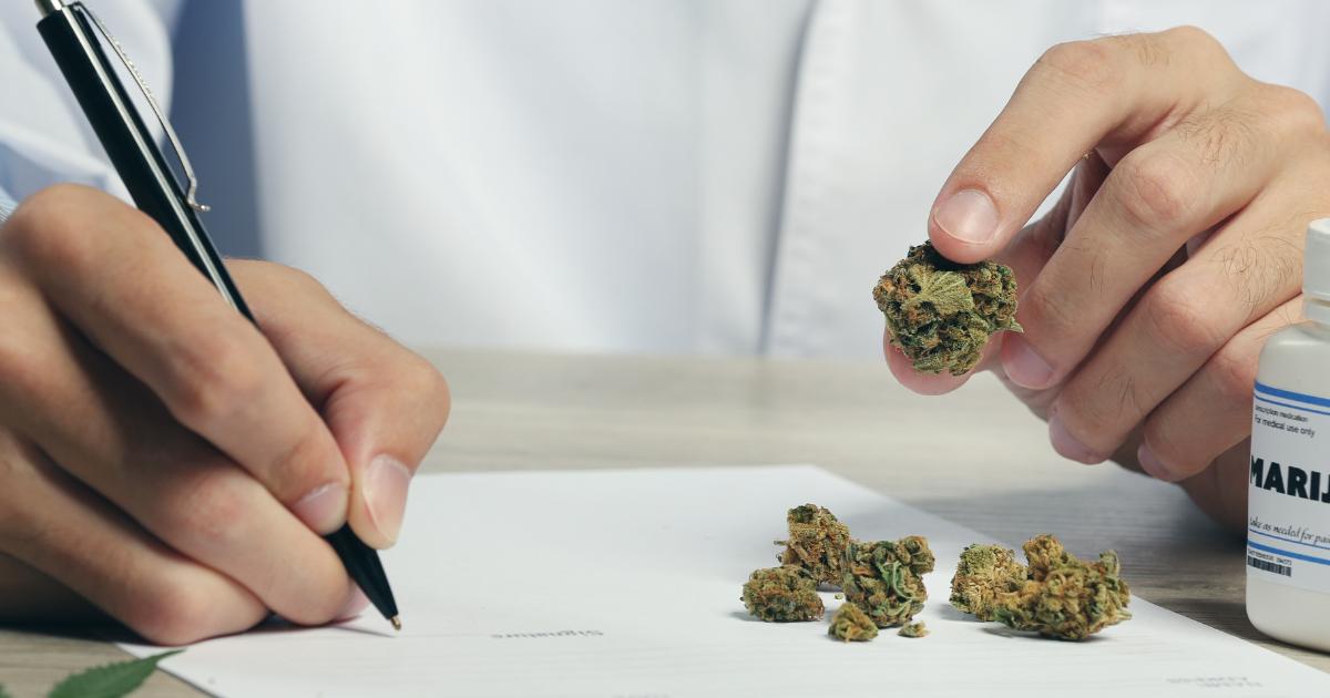 lekarz i medyczna marihuana