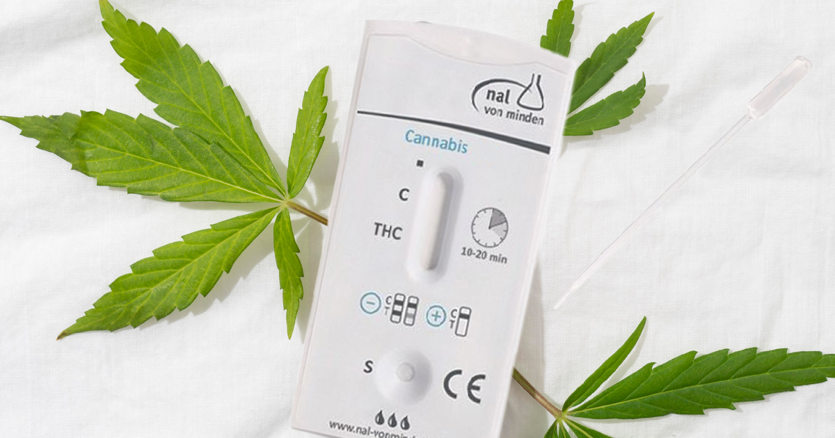 Testy THC z włosa mogąwykryć użycie nawet kilka miesięcy wstecz, w zależności od długości włosów.