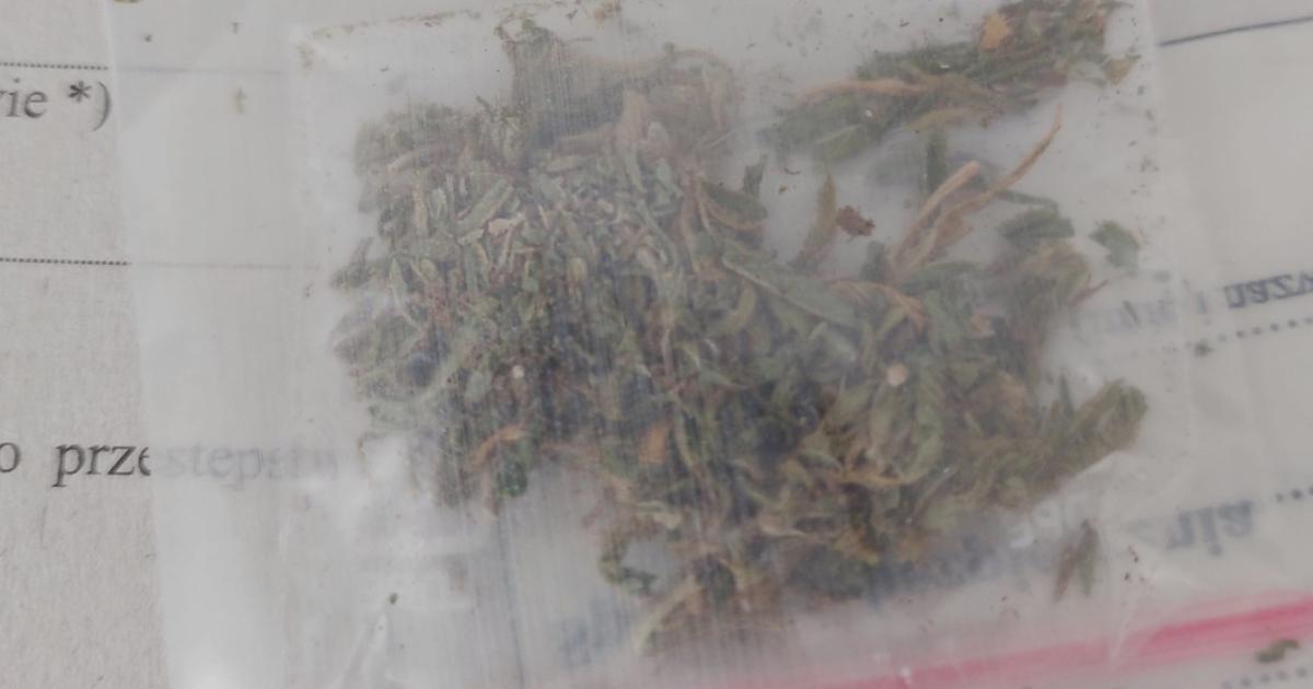 marihuaną, którą posiadała 16-latka