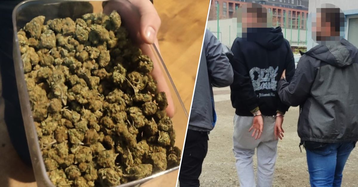 zatrzymany 23-latek za 3100 porcji marihuany