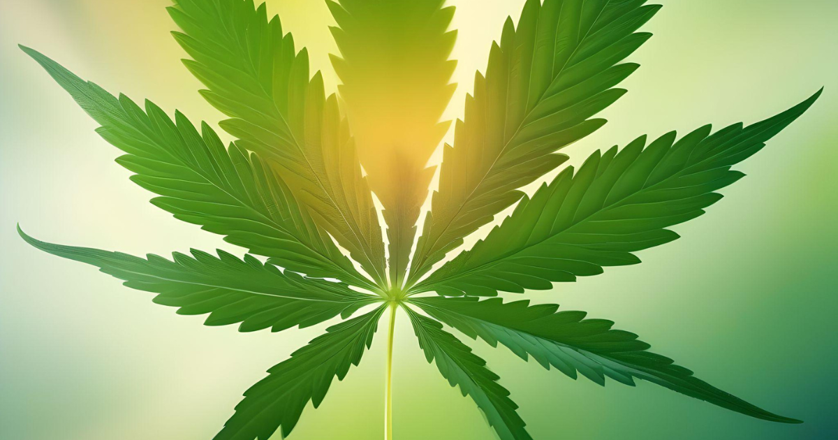 cbc cannabinoid