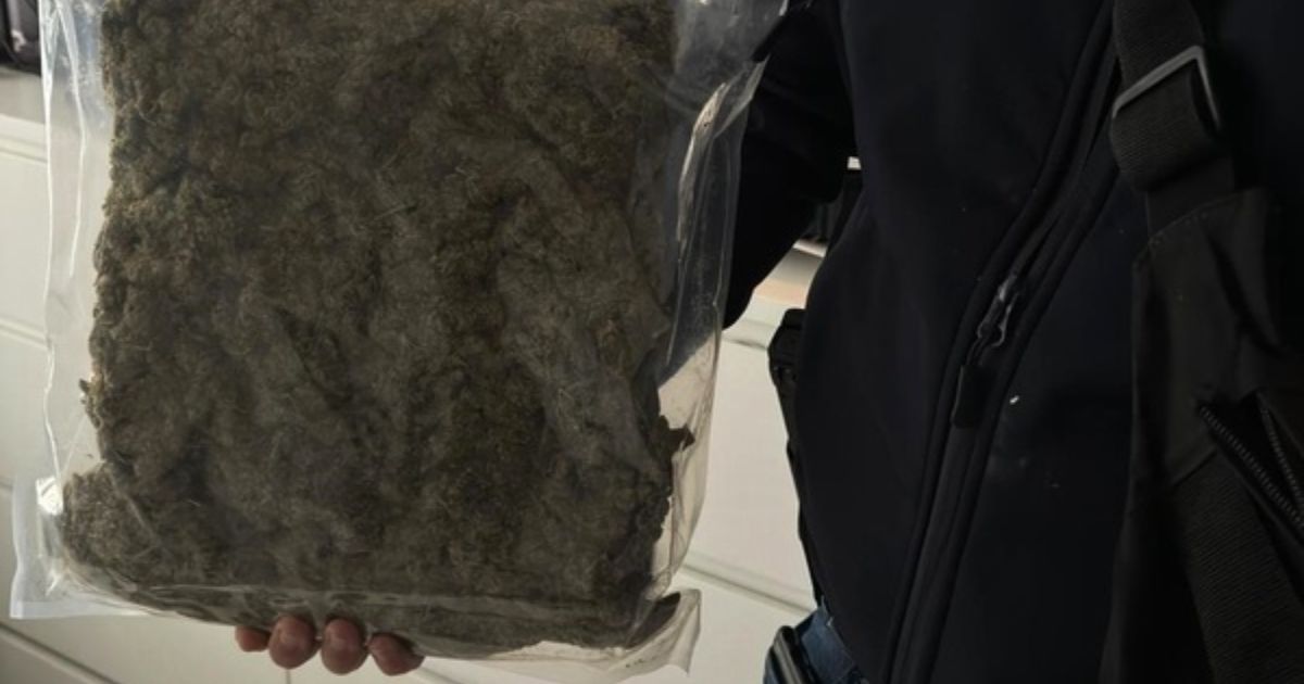 kilogram marihuany w rękach policjacnta