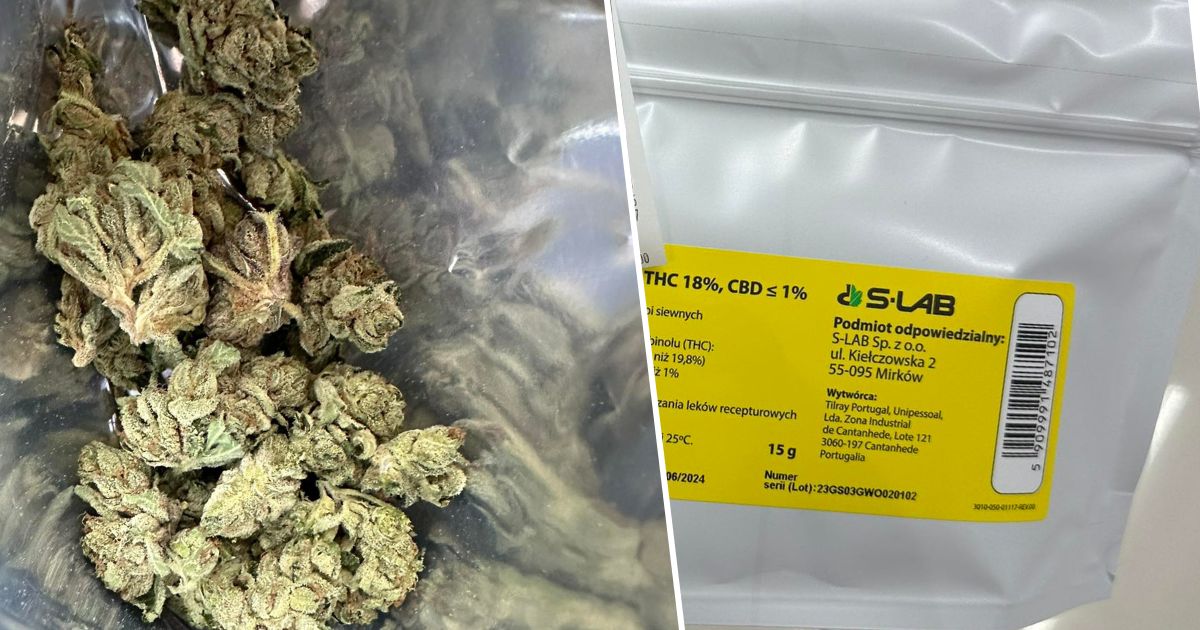 Galaxy Walker OG S-lab