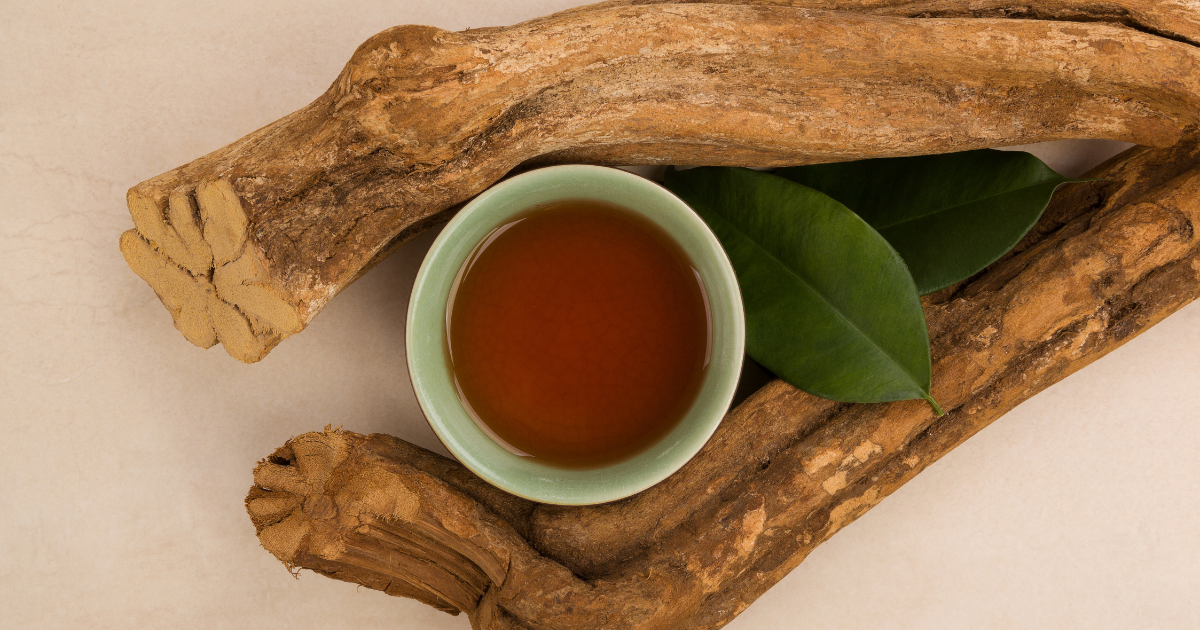 ayahuasca DMT