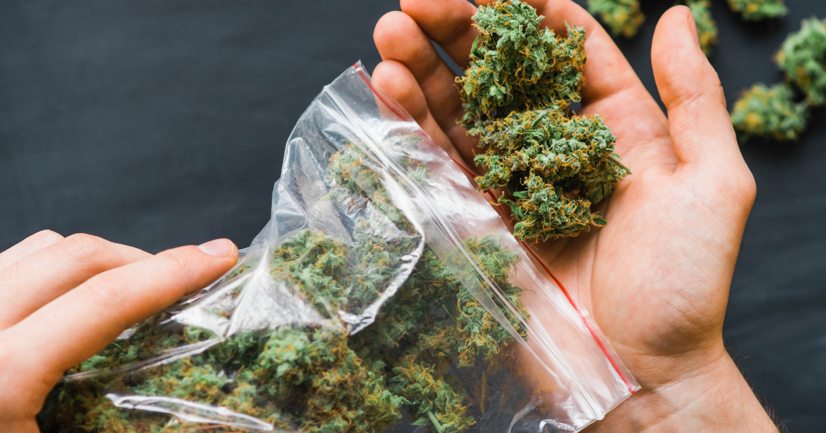 Tilray Blueberry