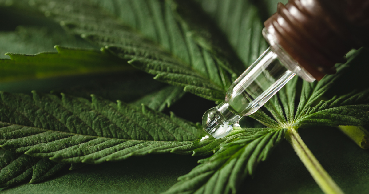 cannabis extractum