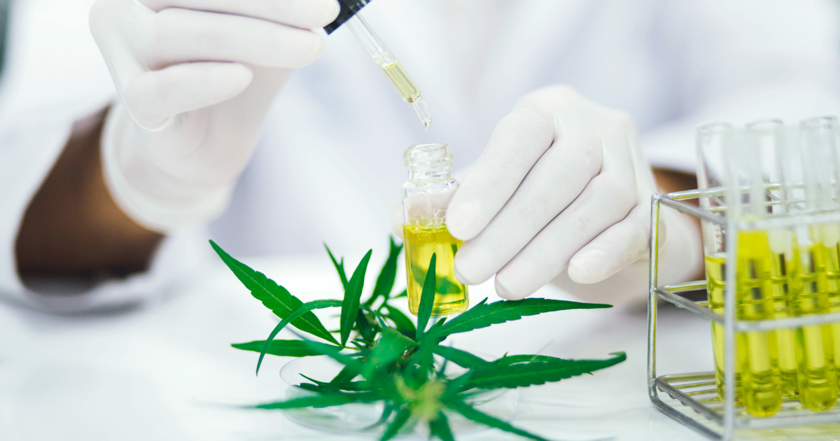 olejek CBD