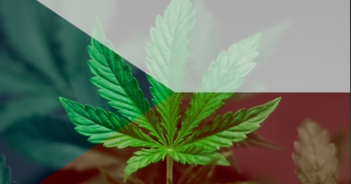 Czechy legalizacja marihuany konopie indyjskie