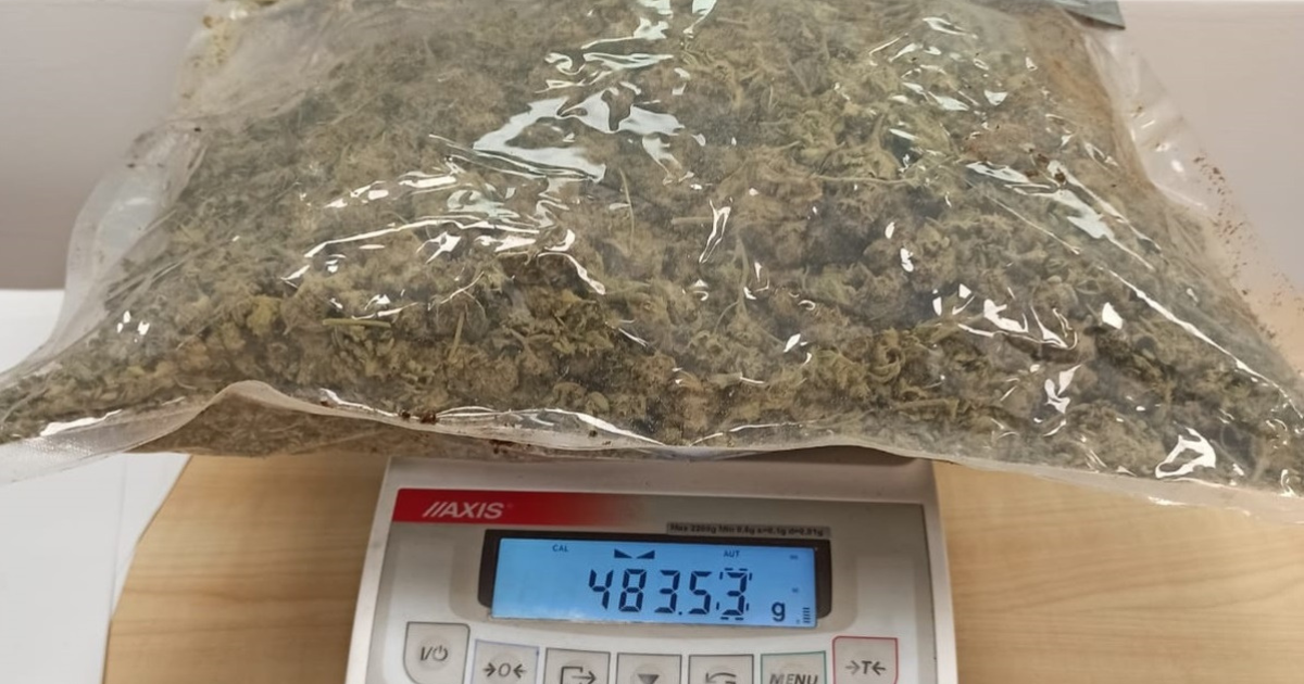 wiadomości marihuana