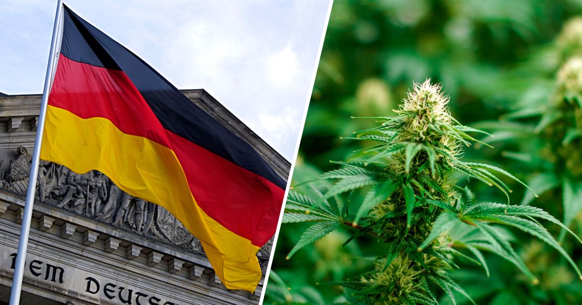 flaga niemiec i marihuana
