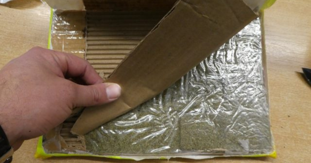 Lublin marihuana fot. lublin112