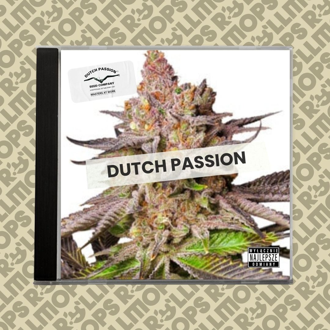 Dutch Passion