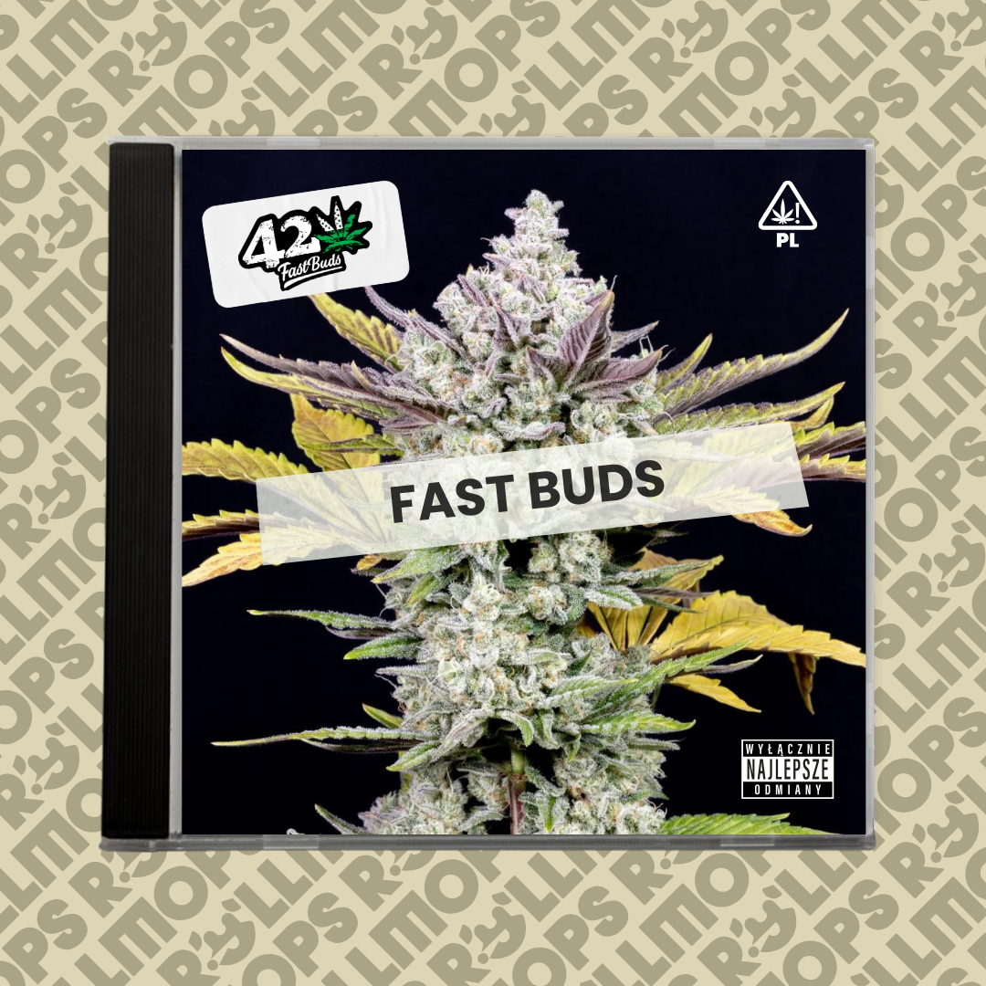 Fast Buds