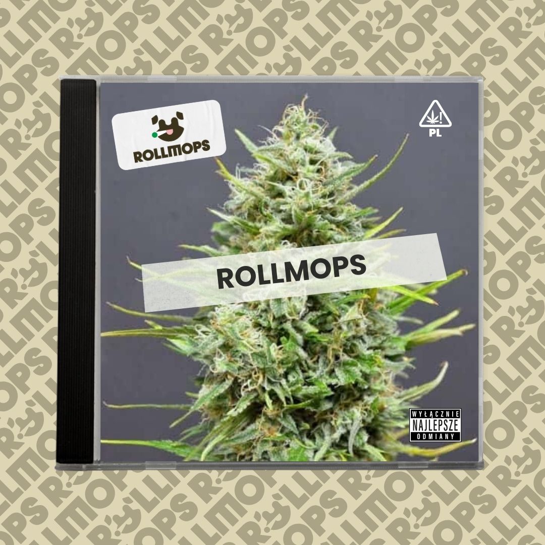 Rollmops