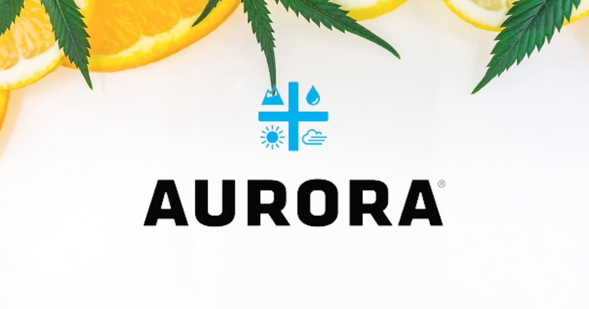 Sordough strain