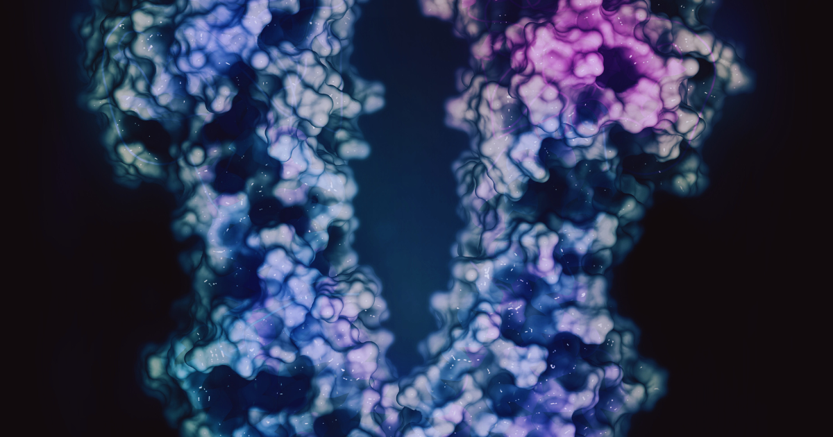 ayahuasca dmt