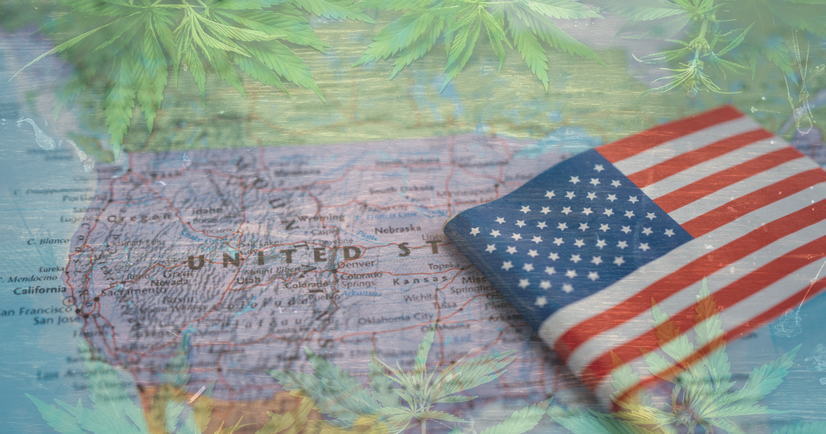 konopie USA