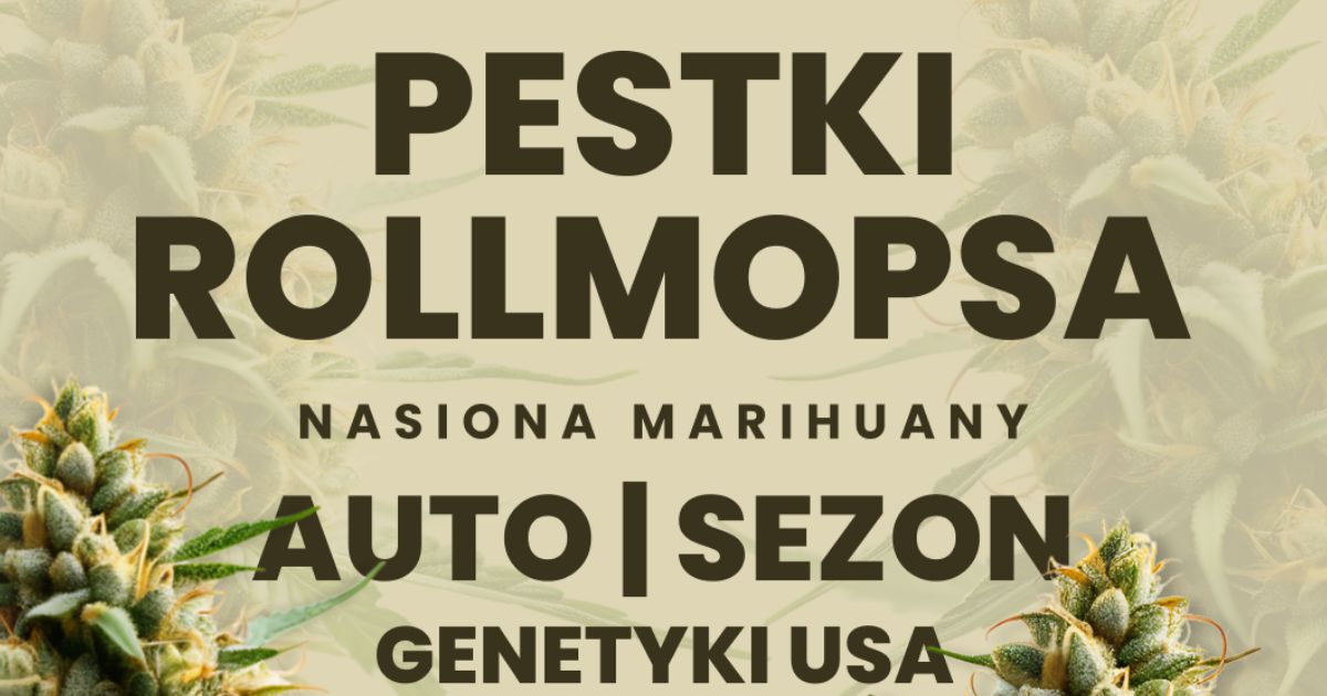 baner z dropem pestek rollmopsa