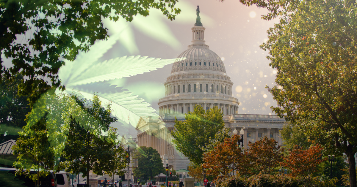 Waszyngton marihuana