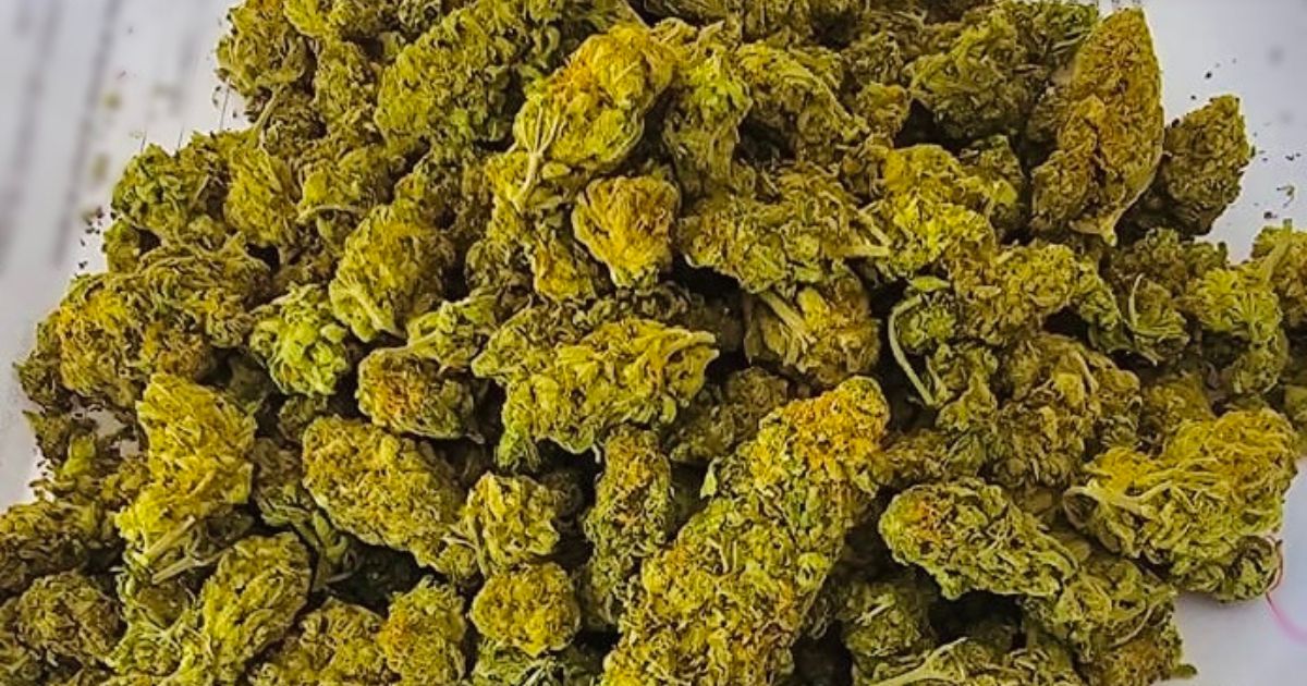 marihuana znaleziona przy 34-latku