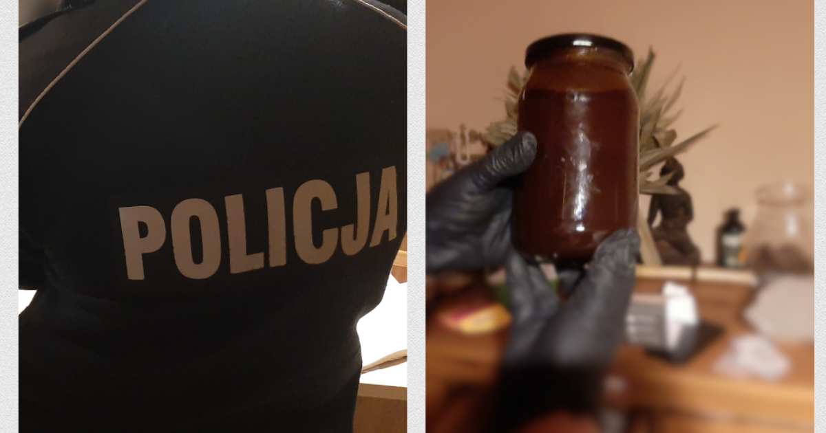 ayahuasca w Polsce