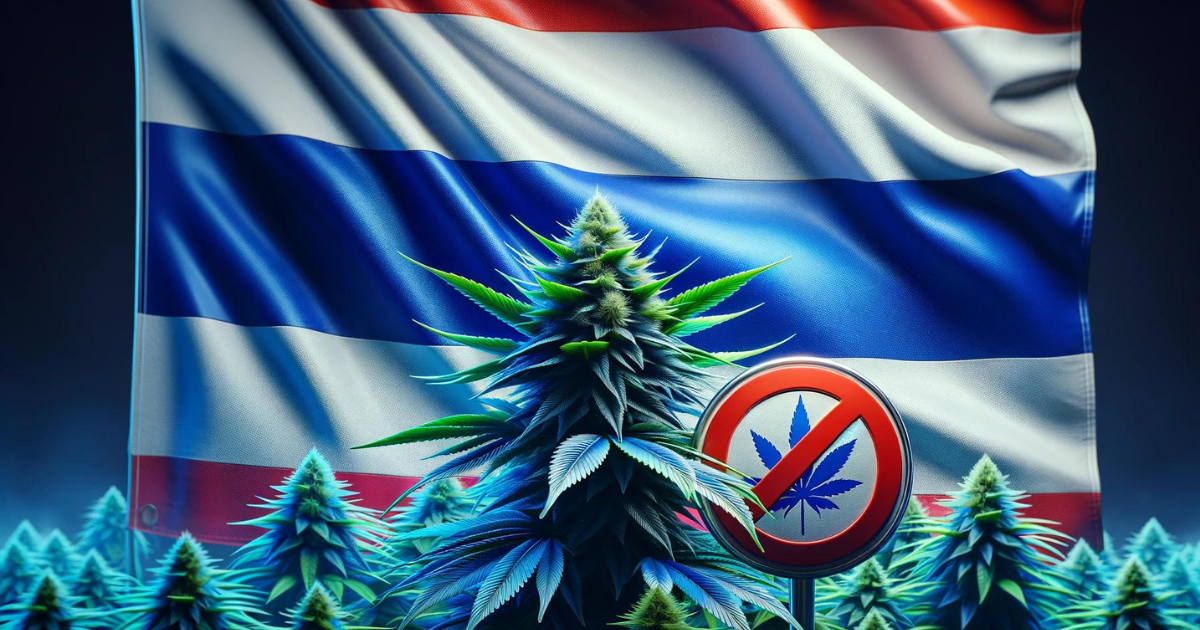 Tajladnia marihuana